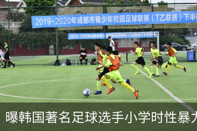 曝韩国著名足球选手小学时性暴力后辈 寄诚庸热搜