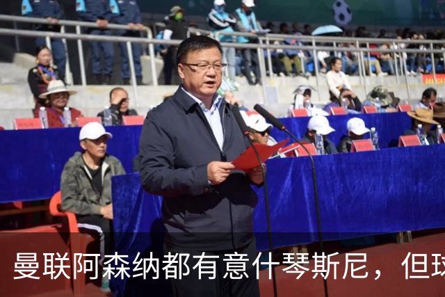曼联阿森纳都有意什琴斯尼，但球员最终决定退役
